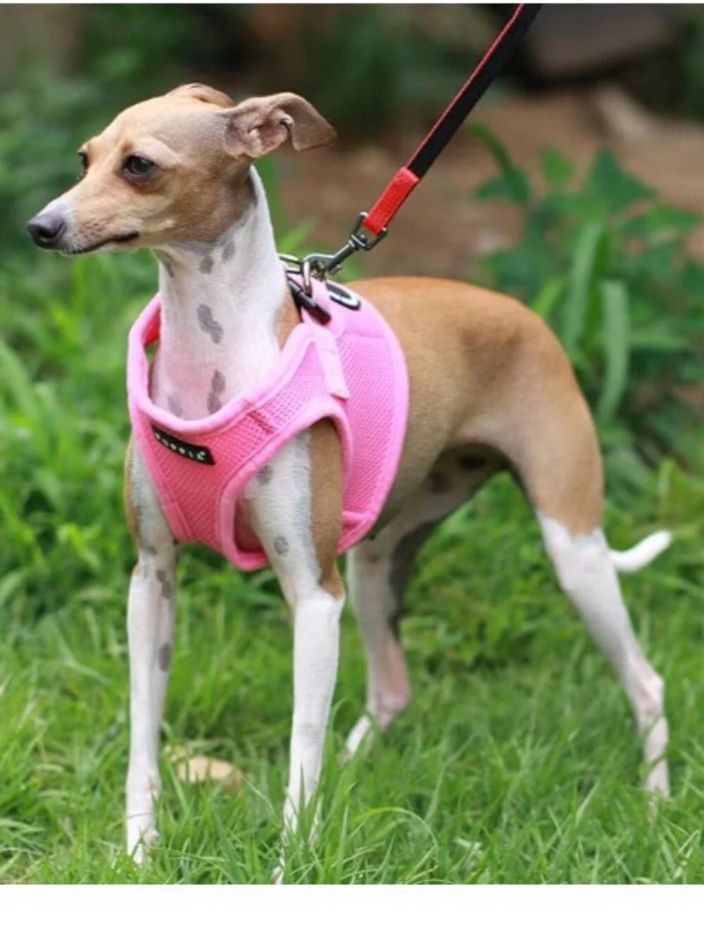 Puppia Soft Step-In Dog Harness Pink Breathable Size X-Large New